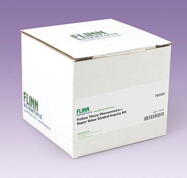 communication, pheromones, vibrations, physical contact