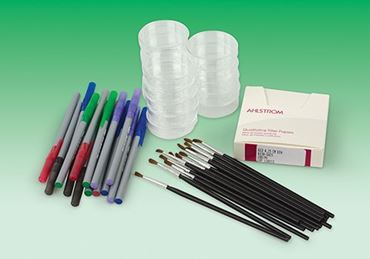 termites, worker termites, soldier termites, termite colonies