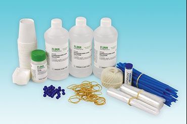 Digestion Connection Flinn STEM Design Challenge™ Kit for Biology and Life Science