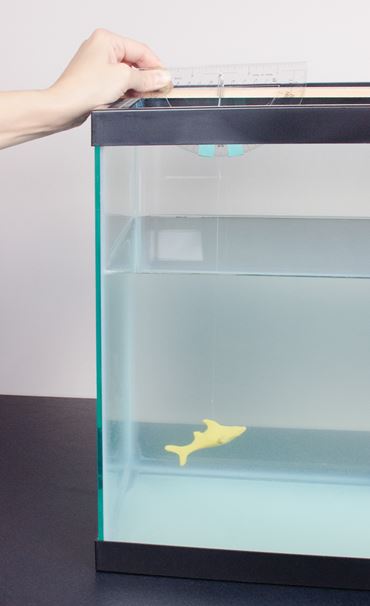 Aquarium Equipment for Fish Health