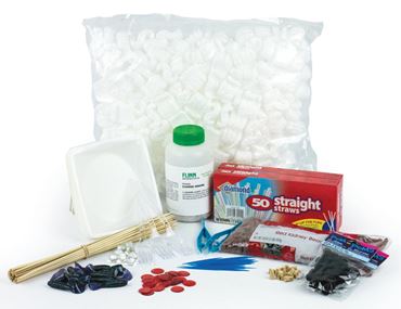 beaks, birds, evolution, adaptation