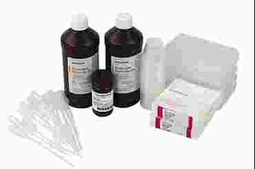 Catalase Investigation with Purified Enzyme Guided-Inquiry Laboratory Kit for Biology