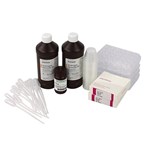 Catalase Investigation with Purified Enzyme Guided-Inquiry Laboratory Kit for Biology