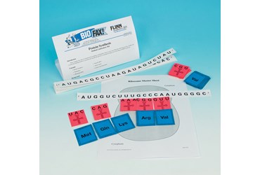 Protein Synthesis Laboratory Kit for Biology and Life Science