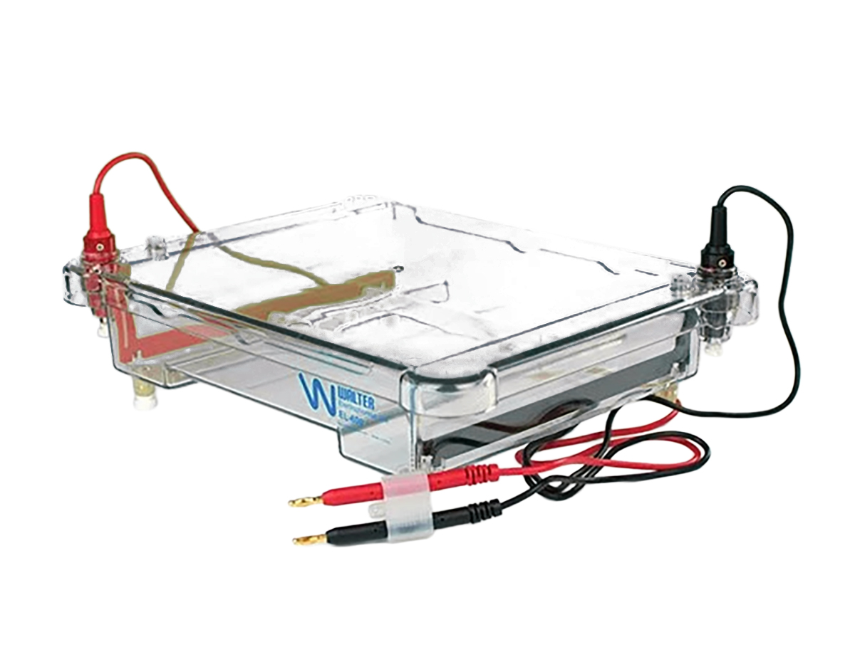 Flinn Six-Gel Electrophoresis Apparatus