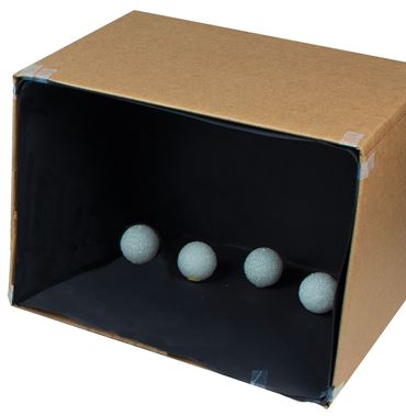 adaptations, evolution, natural selection