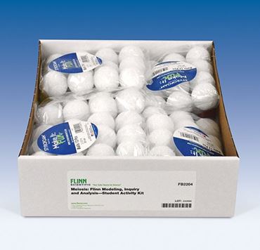 meiosis, cell division, cell change, cellular change