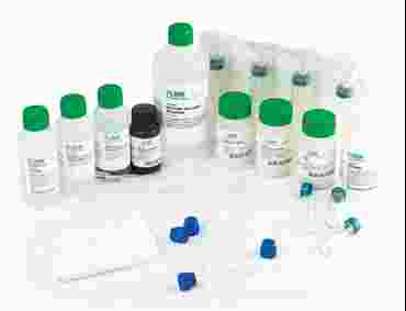 Photosynthesis and Flinn Modeling, Inquiry and Analysis Kit for Biology and Life Science