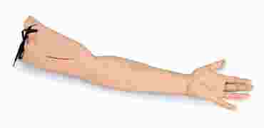 3B Scientific® Suture Practice Arm for Nursing and CTE