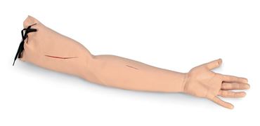 3B Scientific® Suture Practice Arm for Nursing and CTE