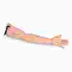 3B Scientific® Suture Practice Arm for Nursing and CTE