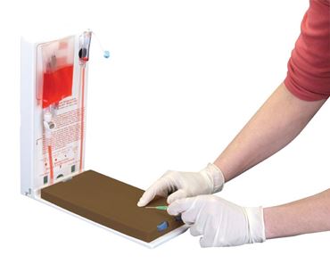 3B Scientific® Dermalike II™ Advanced Four-Vein Venipuncture Training Aid