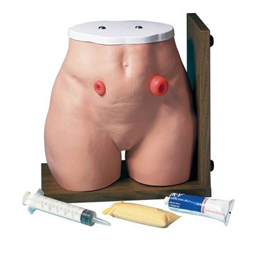 3B Scientific® Ostomy Care Simulator for Nursing and CTE