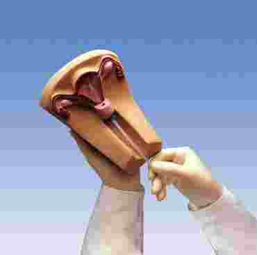 3B Scientific® I.U.D. Trainer for Nursing and CTE