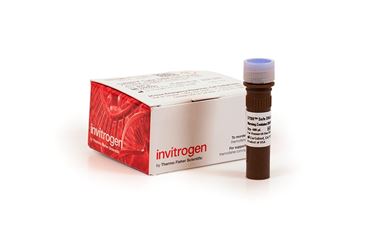 SYBR Safe DNA Gel Stain for Biotechnology