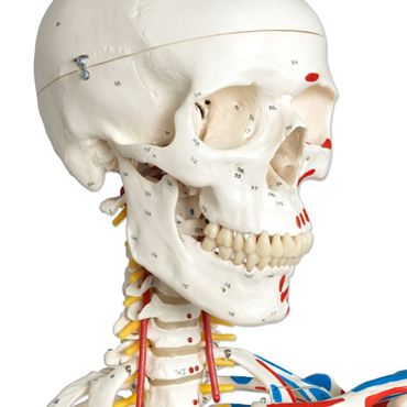 rod mount, stand, hanging mount