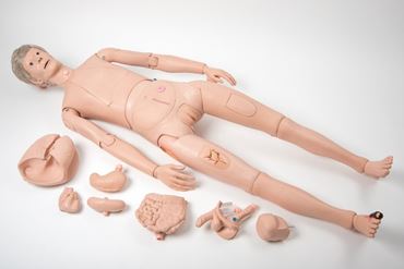 3B Scientific® Patient Care Manikin Pro for Nursing and CTE