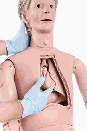 patient care, patient model, patient mankin