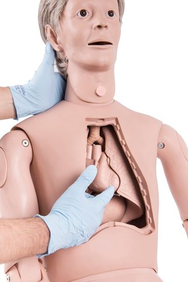 patient care, patient model, patient mankin