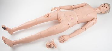 3B Scientific® Patient Care Manikin Pro for Nursing and CTE