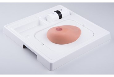 3B Scientific® SONOtrain™ Breast Model with Cysts for Nursing and CTE