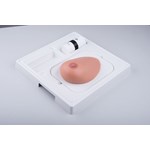 3B Scientific® SONOtrain™ Breast Model with Tumors for Nursing and CTE