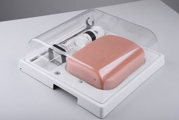 3B Scientific® SONOtrain™ Vein Model for Nursing and CTE