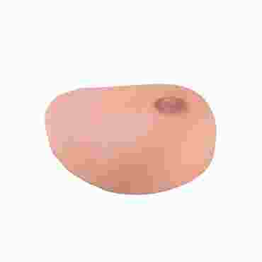 3B Scientific® SONOtrain™ Breast Model with Cysts for Nursing and CTE