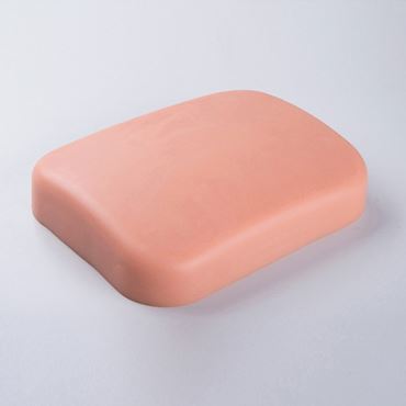 3B Scientific® SONOtrain™ Vein Model for Nursing and CTE