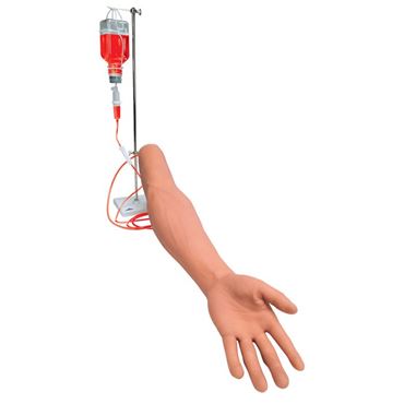 3B Scientific® I.V. Injection Arm for Nursing and CTE