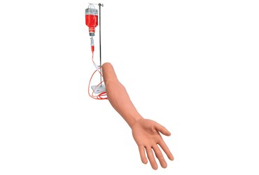 3B Scientific® I.V. Injection Arm for Nursing and CTE