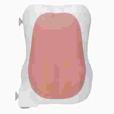 vascular, spinal