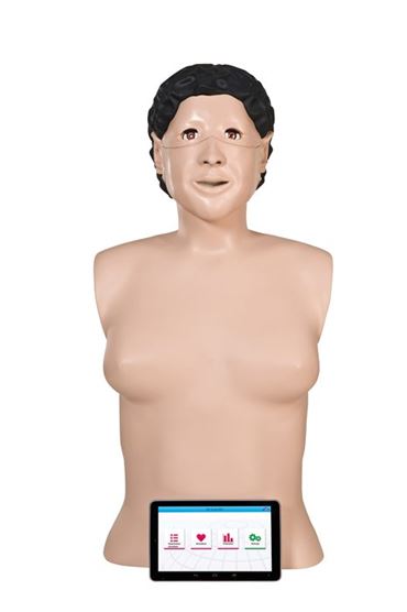 3B Scientific® CPR Lilly™ Light for Nursing and CTE