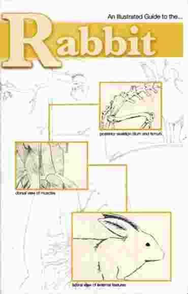 Rabbit Dissection Guide for Biology and Life Science