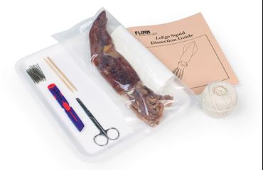 Complete Pack™ Squid Dissection Set