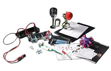 BioRad Virus Disease Detection and Transmission Kit