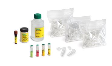 BioRad Virus Disease Detection and Transmission Kit