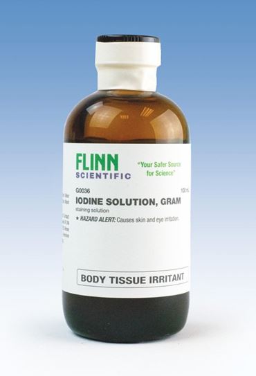Gram's Iodine Solution 500 mL