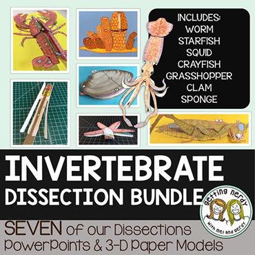 Downloadable resource