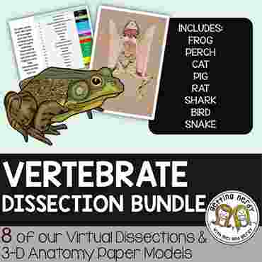 Downloadable resource