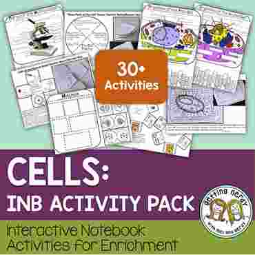 Downloadable resource