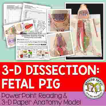 Downloadable resource