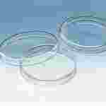Borosilicate Glass Petri Dish Package of 6