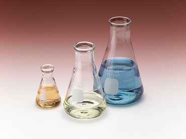 Borosilicate Glass Erlenmeyer Flask 50 mL