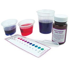 Red Cabbage Extract