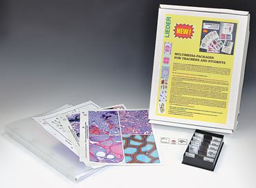 Human Diseases and Pathology Slide Set