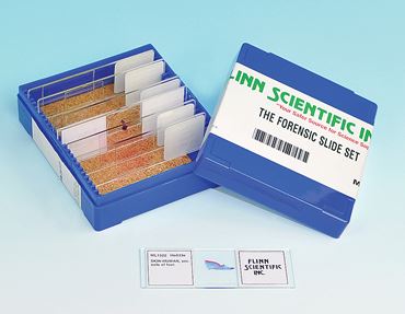 Forensics Microscope Slide Set