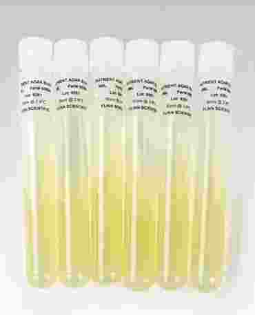 Nutrient Agar Culture Tubes