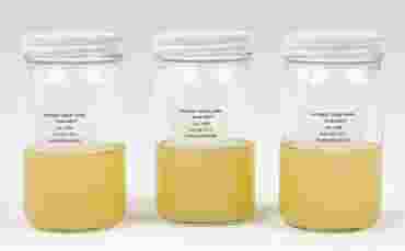 Nutrient Agar Prepared Bottles