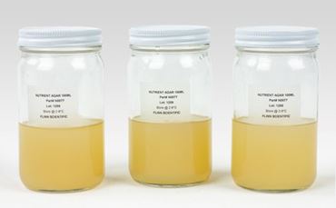 Nutrient Agar Prepared Bottles